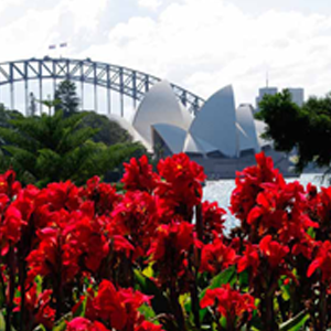 Botanic-Garden