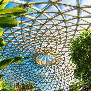 Brisbane Botanic Gardens
