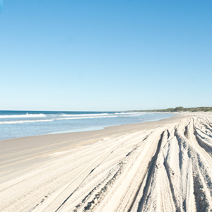 bribie island