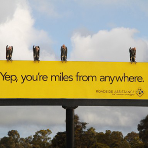 miles from anywhere