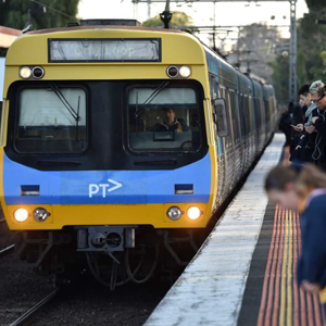train