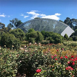 attraction - Adelaide Botanic Gardens