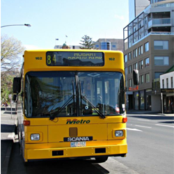 Tassy Bus