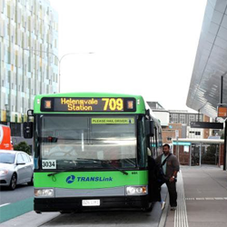 bus