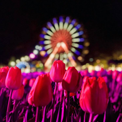 floriade