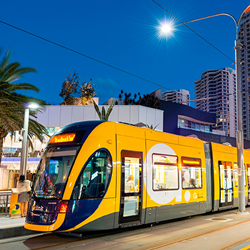 trams